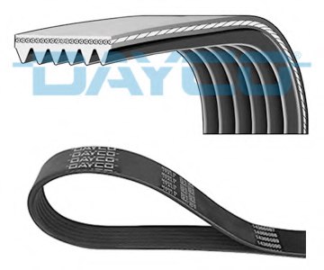 DAYCO 6PK1013HD V-Ribbed Belts